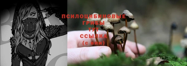 метадон Надым