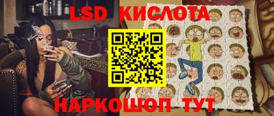шишки Гай