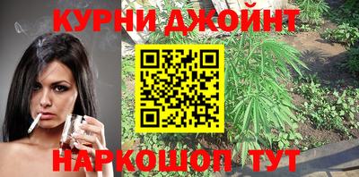 шишки Гай