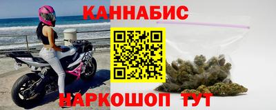 шишки Гай