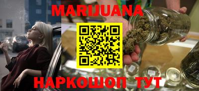 шишки Гай