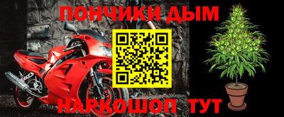 шишки Гай