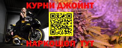 дмт Гатчина