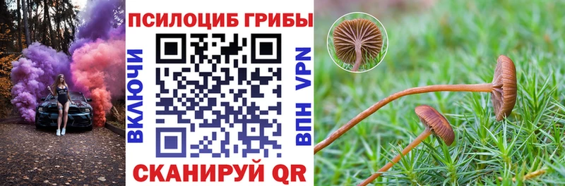 Псилоцибиновые грибы мицелий  Кизляр 