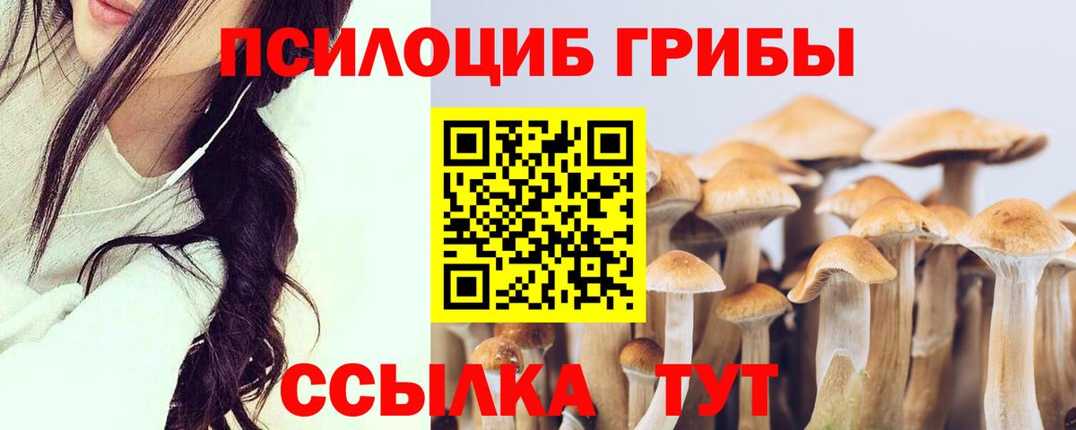 Кизляр  Галлюциногенные грибы Psilocybine cubensis  Вход с VPN  Псилоцибиновые грибы MAGIC MUSHROOMS 